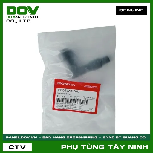 NẮP CHỤP BU GI — 30700KVGV41