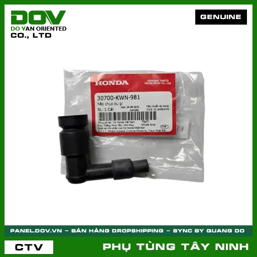 NẮP CHỤP BU GI — 30700KWN981
