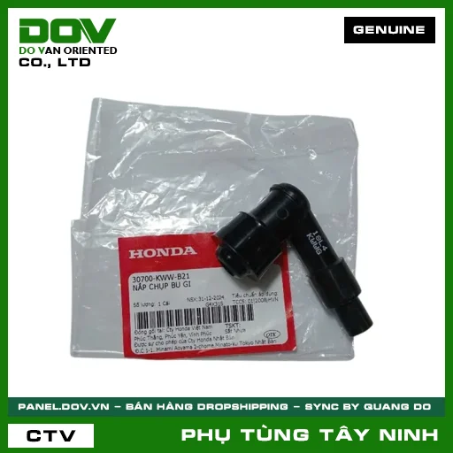 NẮP CHỤP BU GI — 30700KWWB21