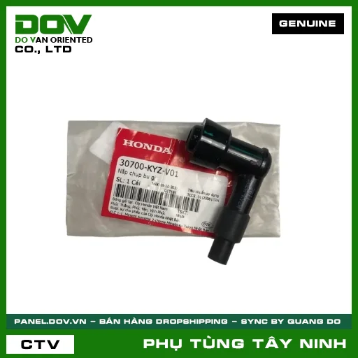 NẮP CHỤP BU GI — 30700KYZV01
