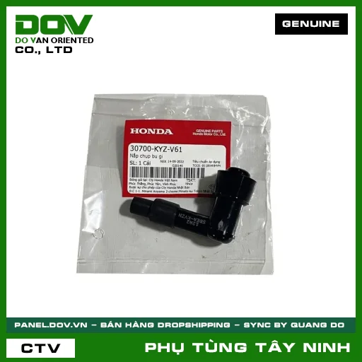 NẮP CHỤP BU GI — 30700KYZV61
