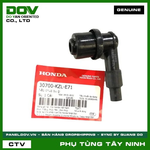 NẮP CHỤP BU GI — 30700KZLE71
