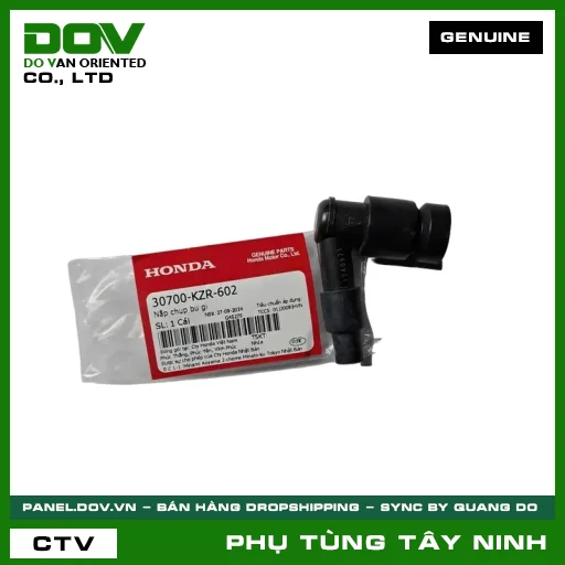 NẮP CHỤP BU GI — 30700KZR602