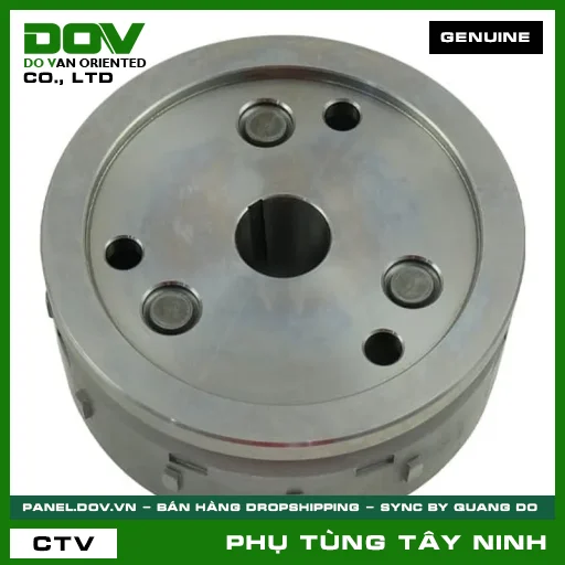 BÁNH ĐÀ VÔ LĂNG ĐIỆN — 31110K2PVE1