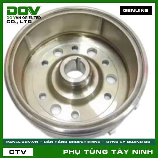 BÁNH ĐÀ VÔ LĂNG ĐIỆN — 31110K53D01