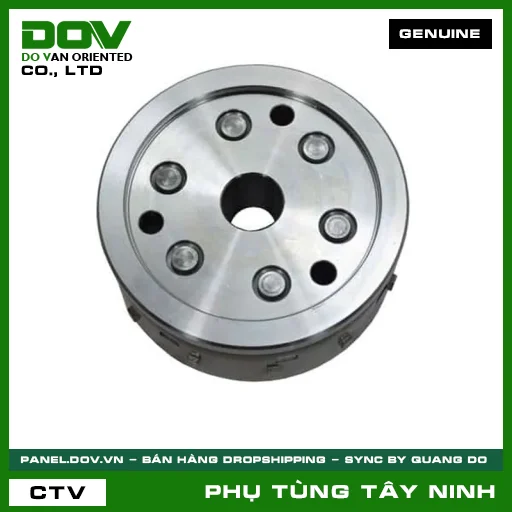 BÁNH ĐÀ VÔ LĂNG ĐIỆN — 31110K56N11