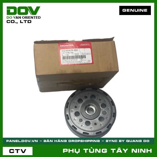 CỤM VÔ LĂNG ĐIỆN — 31210KZR601
