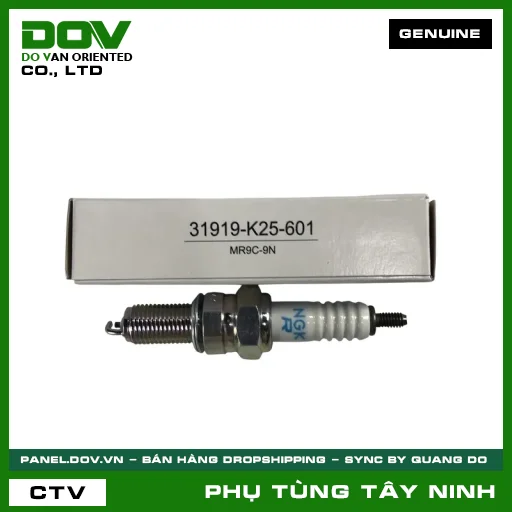 BUGI (MR9C-9N) — 31919K25601