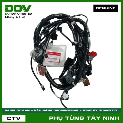 DÂY ĐIỆN CHÍNH — 32100K2CV00