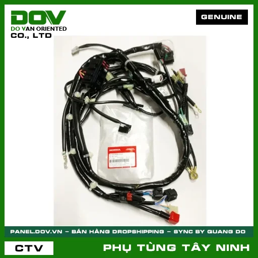 DÂY ĐIỆN CHÍNH — 32100K66V10