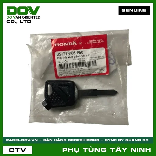 PHÔI CHÌA KHÓA ĐIỀU KHIỂN P60 — 35121K66P60