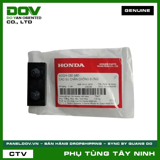 CAO SU CHÂN CHỐNG ĐỨNG — 50524GBJ680
