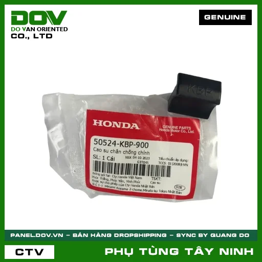 CAO SU CHÂN CHỐNG CHÍNH — 50524KBP900