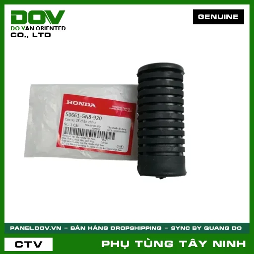 CAO SU ĐỂ CHÂN CHÍNH — 50661GN8920