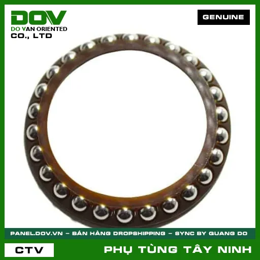 BỘ BI BÁT PHUỐC DƯỚI — 53215K93T01