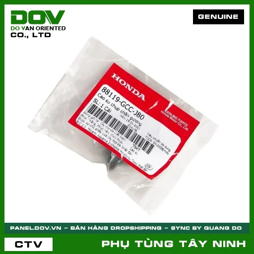 CAO SU CHỤP CHÂN GƯƠNG — 88119GCCJ80
