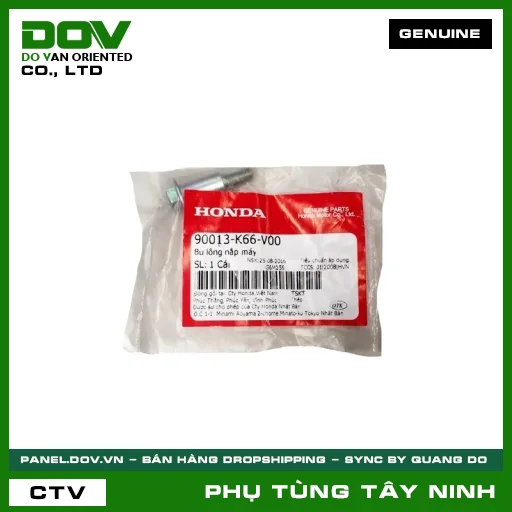 BU LÔNG (ỐC) NẮP MÁY — 90013K66V00