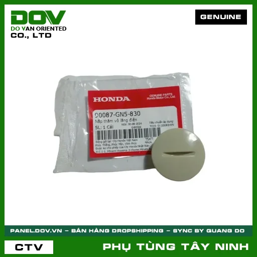 NẮP THĂM VÔ LĂNG ĐIỆN — 90087GN5830