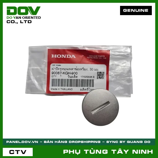 NẮP THĂM VÔ LĂNG ĐIỆN — 90087KGH900