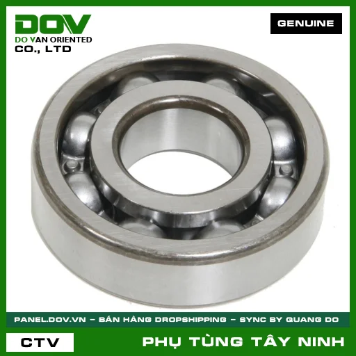VÒNG BI 6000 — 961006000000