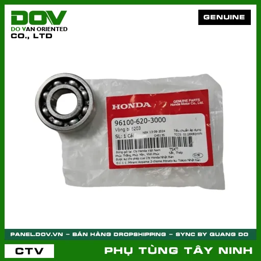 VÒNG BI 6203 — 961006203000