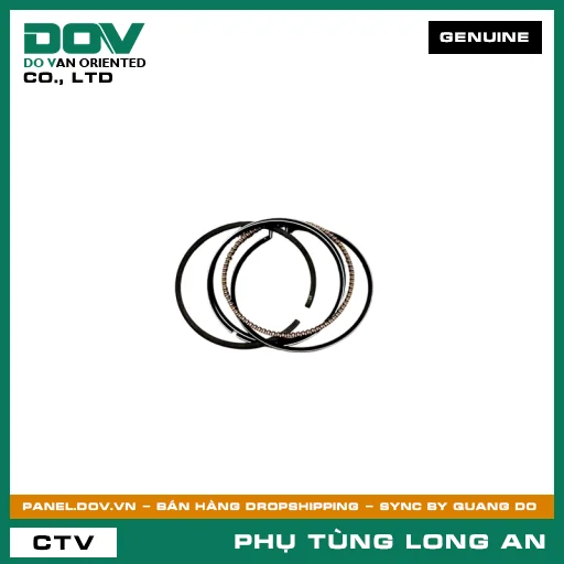 BỘ XÉC MĂNG TIÊU CHUẨN (0.00) HONDA WAVE RSX 110 — 13011K03306