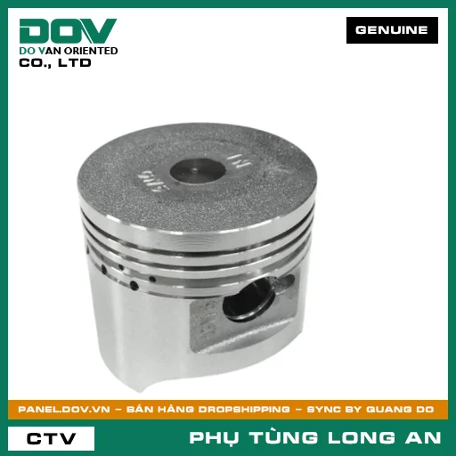PISTON TIÊU CHUẨN (0.00) HONDA — 13101GN5912