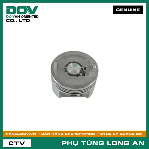 PISTON (0.5) HONDA VISION 110 — 13103K44V00