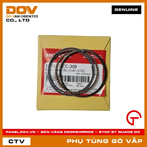 BỘ XÉC MĂNG TIÊU CHUẨN (0.00) MÃ PHỤ TÙNG 13011GCC309 — 13011GCC309