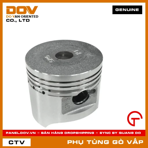 PISTON TIÊU CHUẨN (0.00) MÃ PHỤ TÙNG 13101GN5912 — 13101GN5912