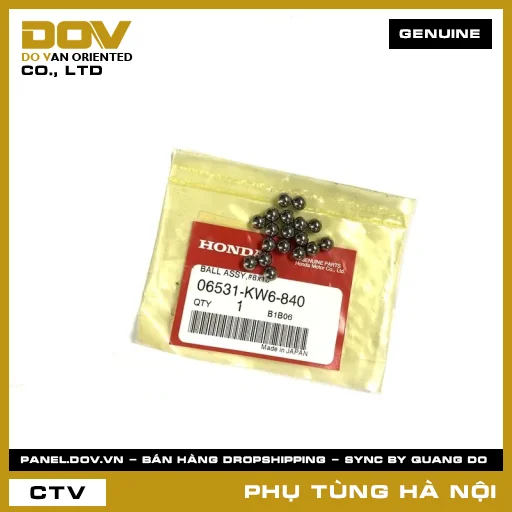 MÃ PHỤ TÙNG : 06531KW6840 BỘ BI PHUỐC #8X18 — 06531KW6840