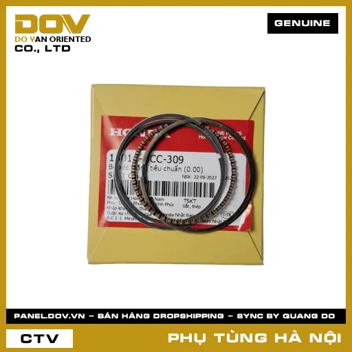 MÃ PHỤ TÙNG : 13011GCC309 BỘ XÉC MĂNG TIÊU CHUẨN (0.00) — 13011GCC309