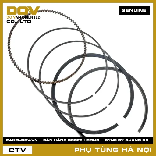 MÃ PHỤ TÙNG : 13012GN5315 BỘ XÉC MĂNG CỐT 1 (0.25) — 13012GN5315