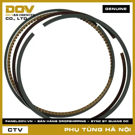 MÃ PHỤ TÙNG : 13021K1Z305 BỘ XÉC MĂNG CỐT 1 (0.25) — 13021K1Z305