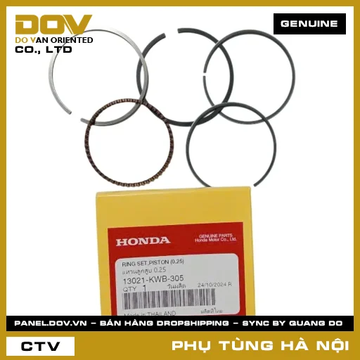 MÃ PHỤ TÙNG : 13021KWB305 BỘ XÉC MĂNG CỐT 1 (0.25) — 13021KWB305
