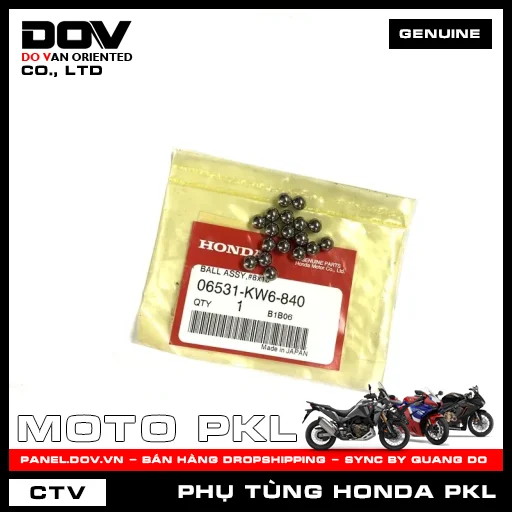 BỘ BI PHUỐC #8X18 CB300R — 06531KW6840