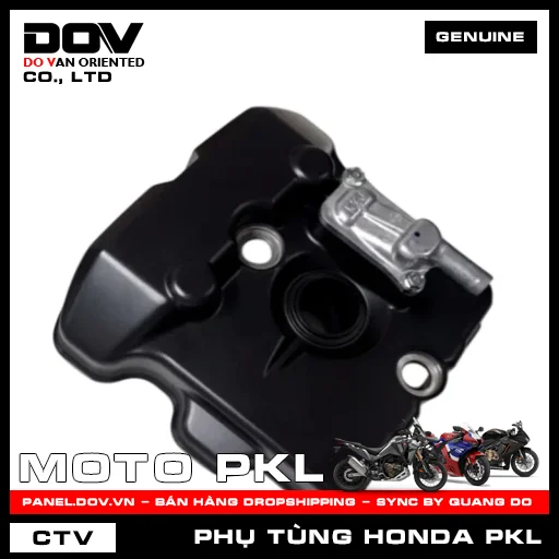 NẮP ĐẦU QUY LÁT CB300R — 12300KYJ900