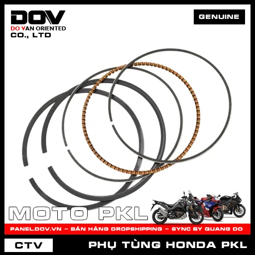 BỘ XÉC MĂNG TIÊU CHUẨN CB300R, REBEL 300 — 13010KYJ305