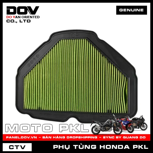 TẤM LỌC KHÍ (lọc gió) GOLDWING — 17210MKCA00