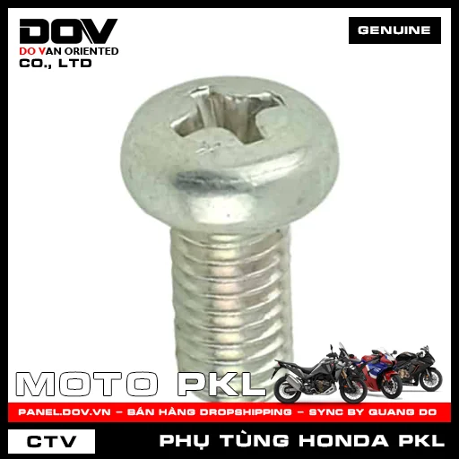 VÍT 5X10 CB250 NIGHTHAWK, CB350 H'NESS, GOLDWING — 93500050100A