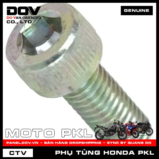 BU LÔNG 6X16 CB300R, CB650R, CBR650R, REBEL 300 — 966000601600