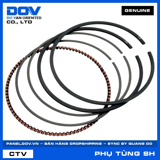 BỘ XÉC MĂNG SH 125/150, SH 125/160 — 13011K0R305