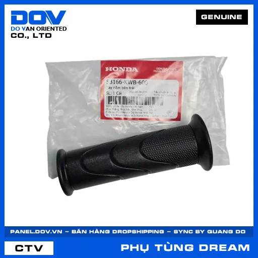 TAY NẮM BÊN TRÁI DREAM 110 — 53166KWB600