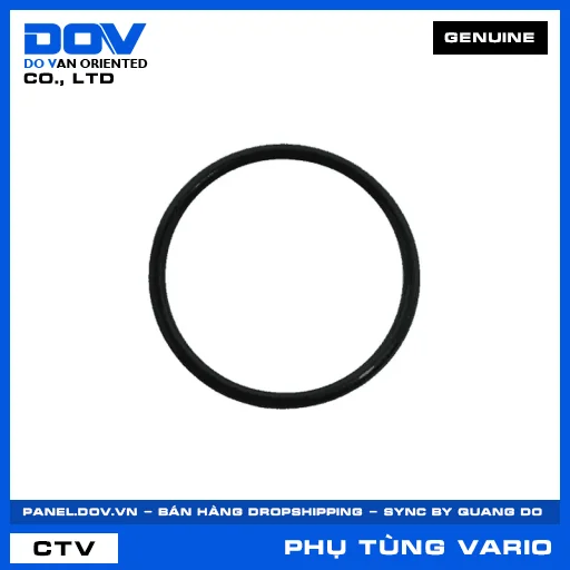 PHỚT O C VARIO 160 — 19052K27V51