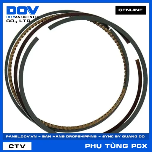 BỘ XÉC MĂNG CỐT 1 (0.25) PCX 160 — 13021K1Z305
