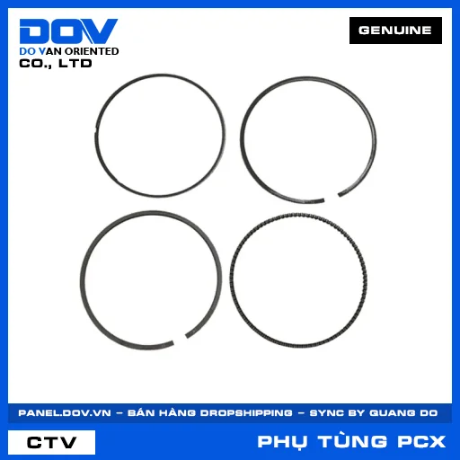 BỘ XÉC MĂNG CỐT 1 (0.25) PCX, PCX 125/150 — 13021K97305