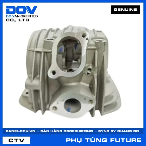 Cụm đầu quy lát FUTURE NEO — 12200KTM840