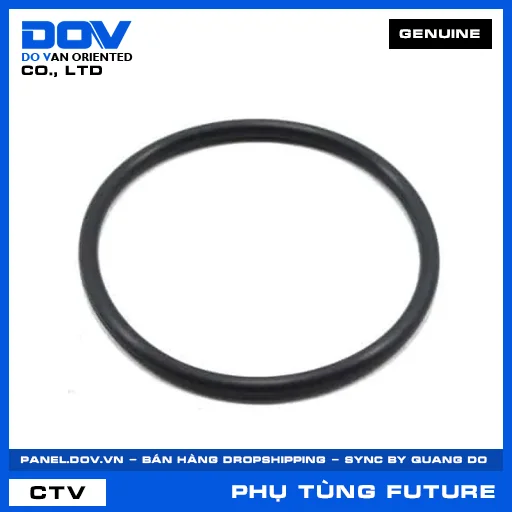 Phớt O bình xăng FUTURE 125 — 17572GGLJ00
