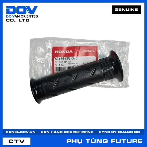 TAY NẮM BÊN TRÁI FUTURE NEO — 53166KFLD20