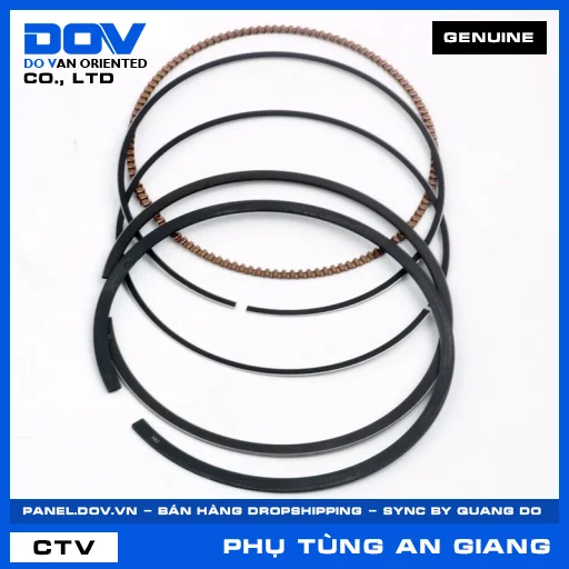 BỘ XÉC MĂNG TIÊU CHUẨN (0.00) ADV350, SH 350 — 13011K1BT00
